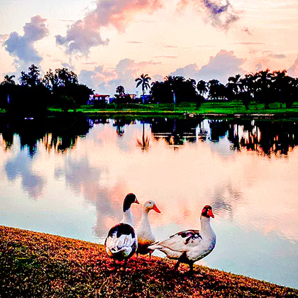 lagunasdemiralta-imagenesgaleriaimg12