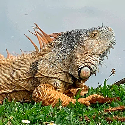 lagunasdemiralta-imagenesgaleriaimg18