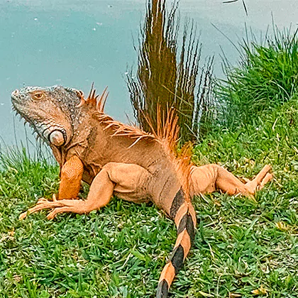 lagunasdemiralta-imagenesgaleriaimg5