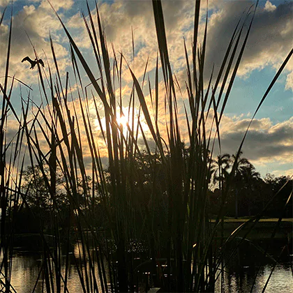 lagunasdemiralta-imagenesgaleriaimg6